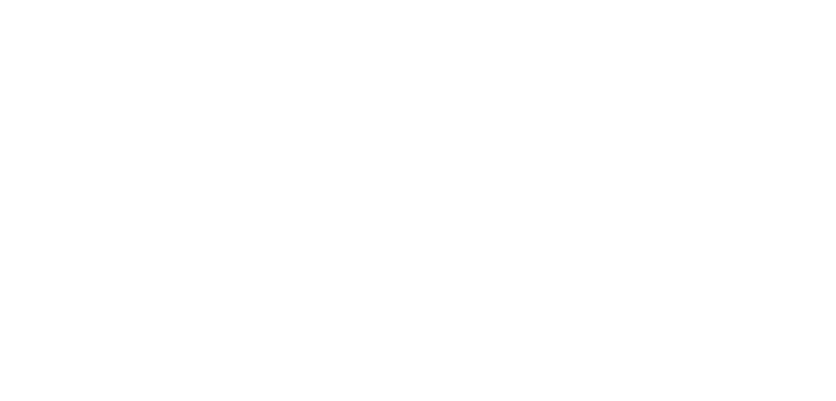 SpinLink